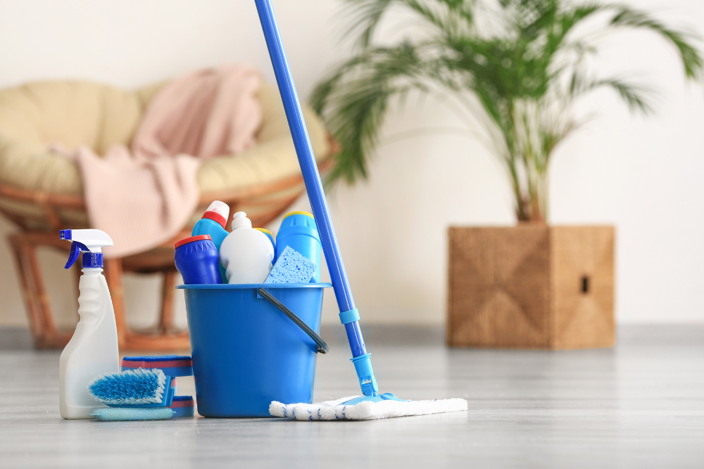 Gleam Perfect – Home Cleaning in Westlands, UK